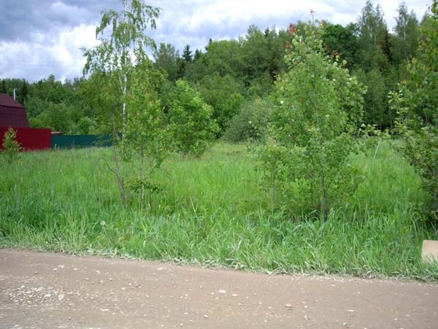 участок в Дедово-Талызино продать
